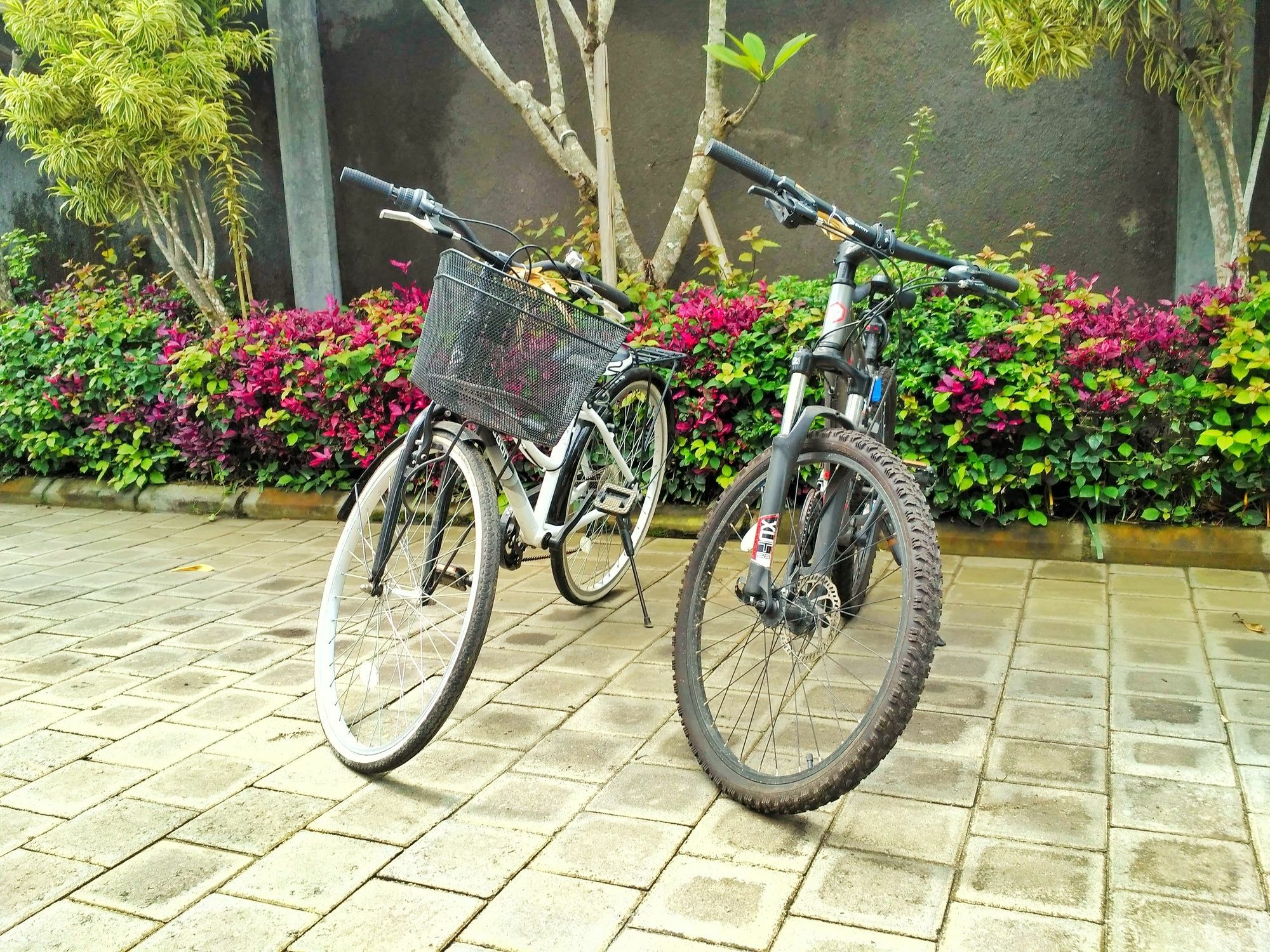 Amelle Villas & Residences Canggu Kültér fotó