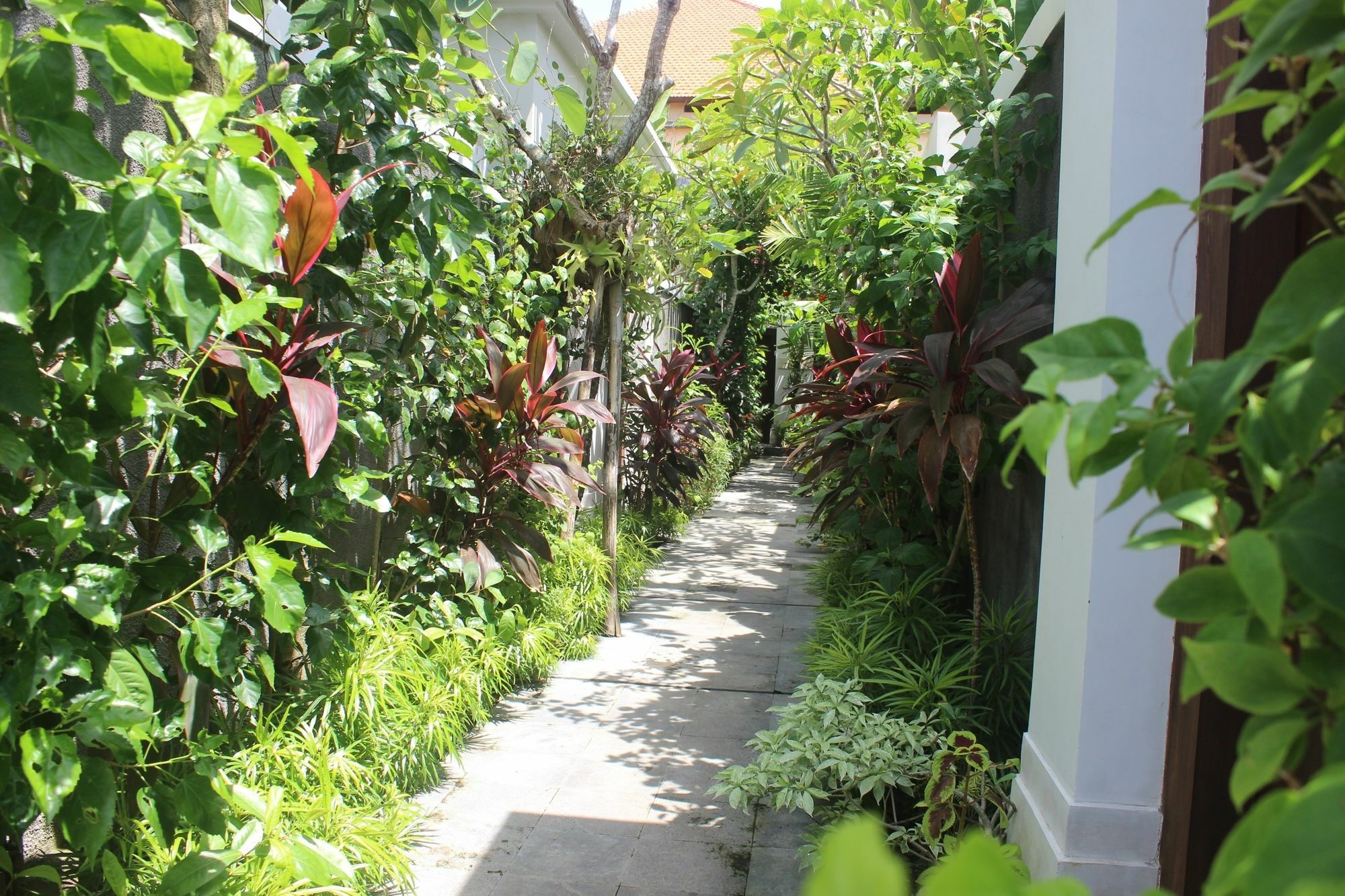 Amelle Villas & Residences Canggu Kültér fotó